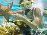 Dive