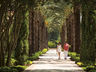 Four Seasons Resort Orlando at Walt Disney World Resort