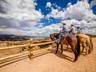 Horseback Riding