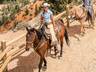 Horseback Riding