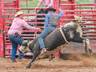Rodeo