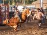 Rodeo