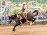Rodeo