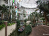 Delta Riverboat Tours