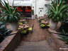 Solario Cantina