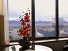 Overlooking View