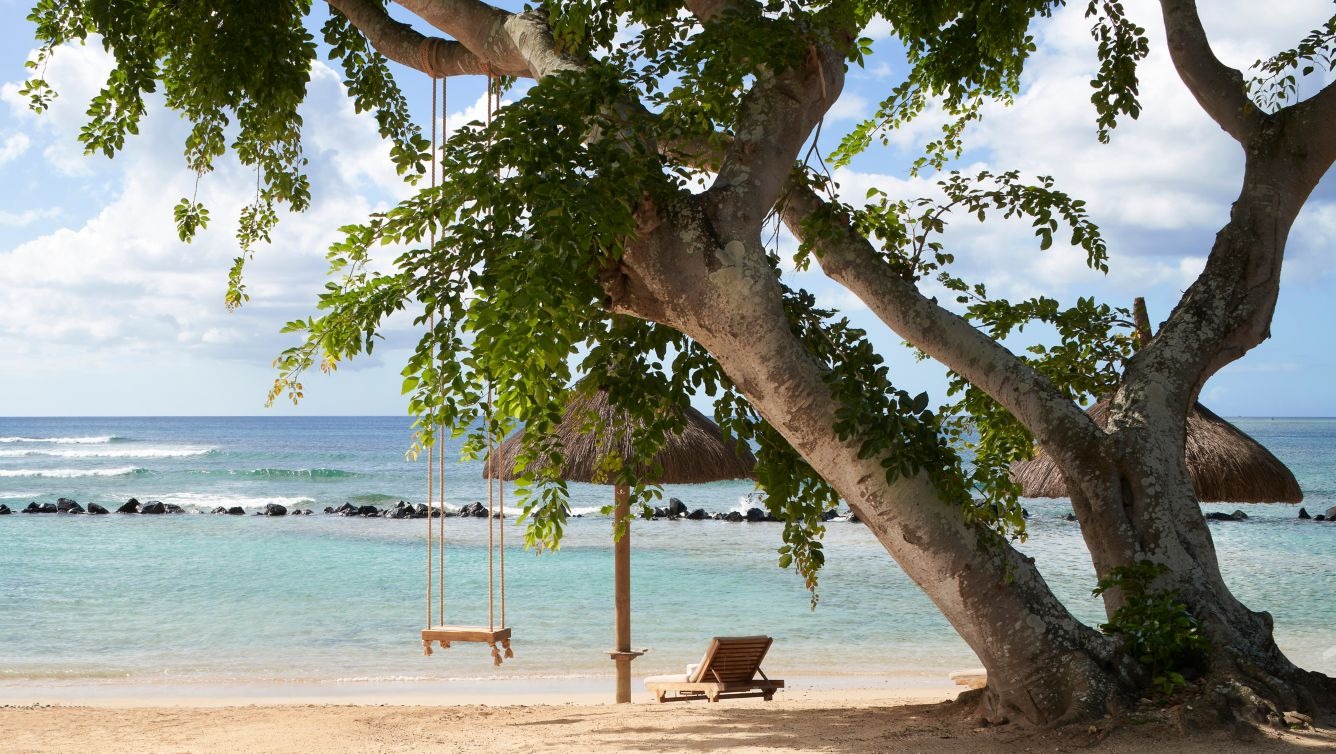 Beach Swing
