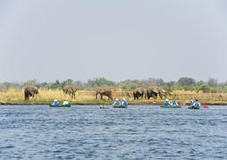 Mana Pools Canoe Trail