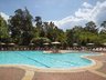 SPLASH! POOL BAR