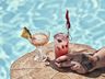 Poolside Bar