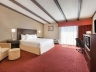 1 King Bed Business Room