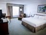 Pet Friendly NS 1 King Bed
