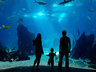 Waikiki Aquarium