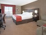 Executive King Suite