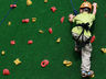 Rock Climbing Wall - Indoor