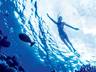 Diving in the Maldives