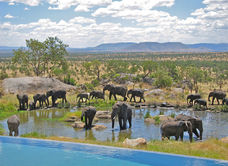 Four Seasons Safari Lodge Serengeti