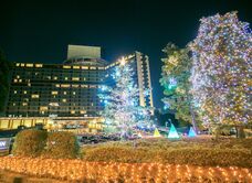 Hotel New Otani Tokyo, The Main