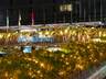 Hotel Front - Evening/Night