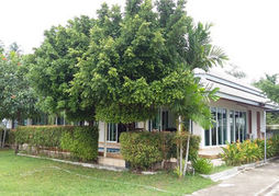 Samui Orchid The Ocean Resort