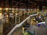 Snack Bar