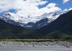 EPC CatchPoint Test Hotel - DO NOT TOUCH