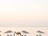 Al Aqah Beach