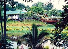 Sepilok Jungle Resort