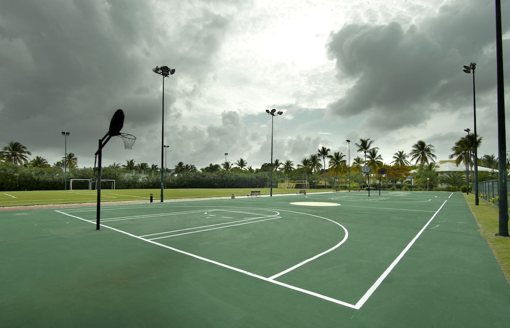 Basketball Court