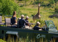 Zebras Crossing Lodge