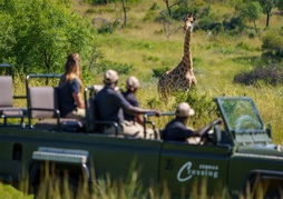 Zebras Crossing Lodge