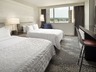 Executive Double Double Guest Room