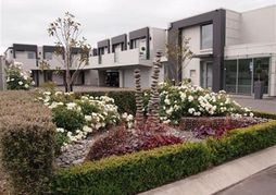 Bellano Motel Suites