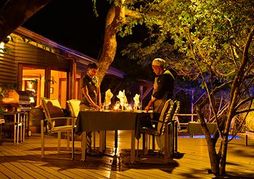 Bushwillow Collection