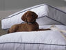 Pet-Friendly