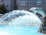 Pool Waterfall