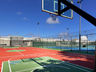 Basketball Court