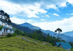 Green Jungle Holiday Resort