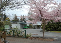 Tongariro River Motel