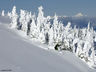 Ski Hill