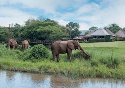 Hippo Hollow Country Estate