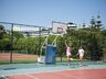Basketball court