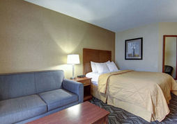 Comfort Inn & Suites Ambassador Bridge