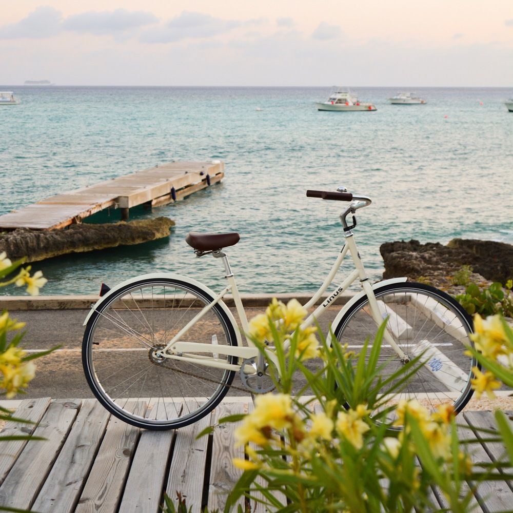 Dock