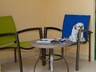 Pet-Friendly