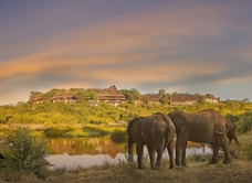 Victoria Falls Safari Lodge