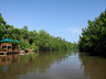 Bentota River and Mangrove