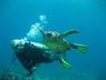 Excursions