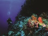Diving