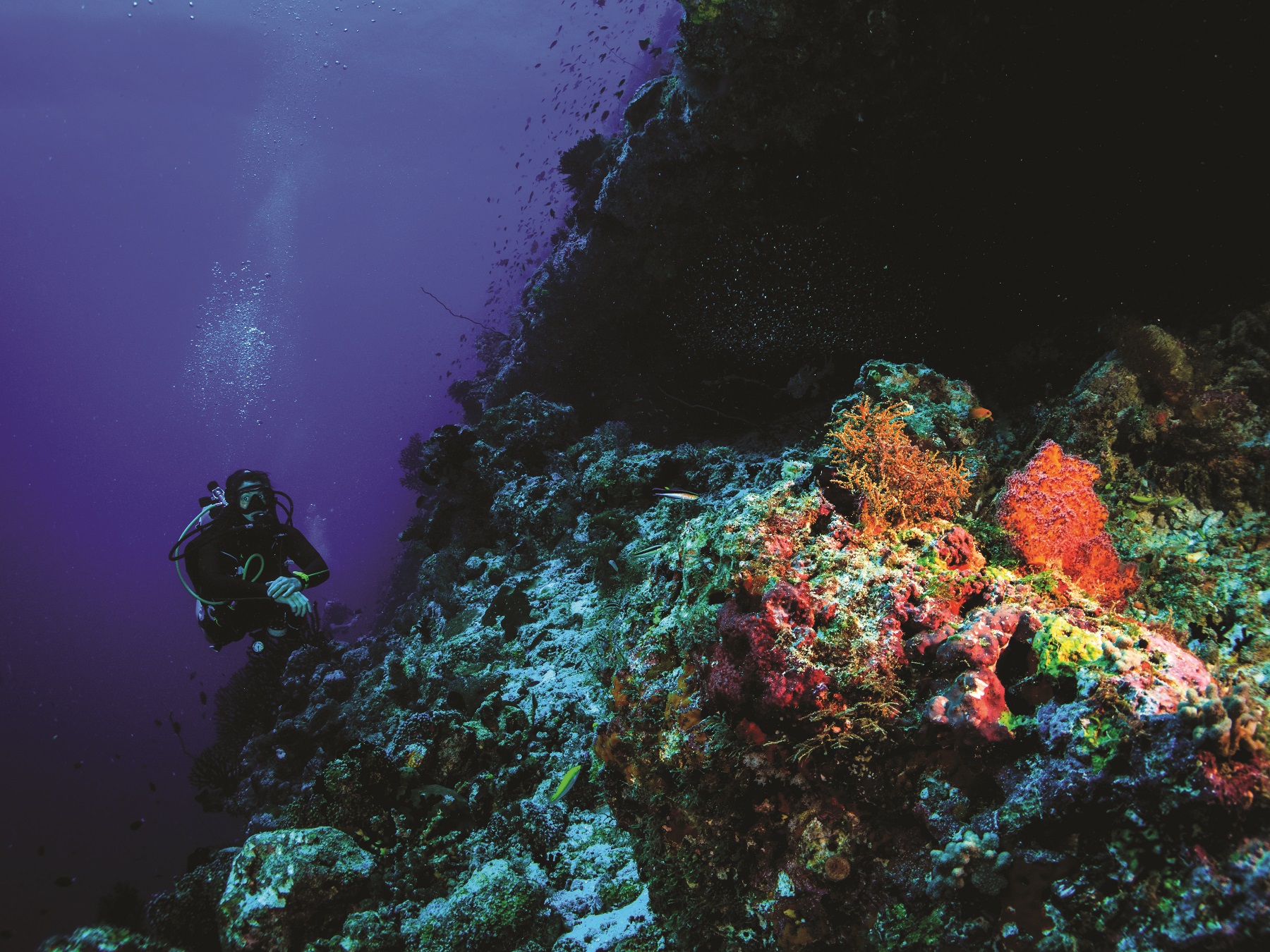 Diving 